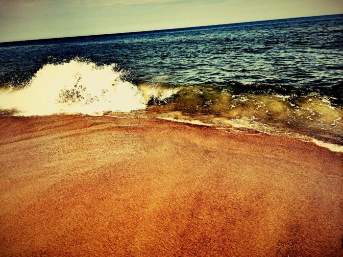 10440910_10100272068918855_7678679049673965476_n