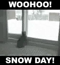 snowdaycatjumping